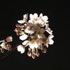 夜桜