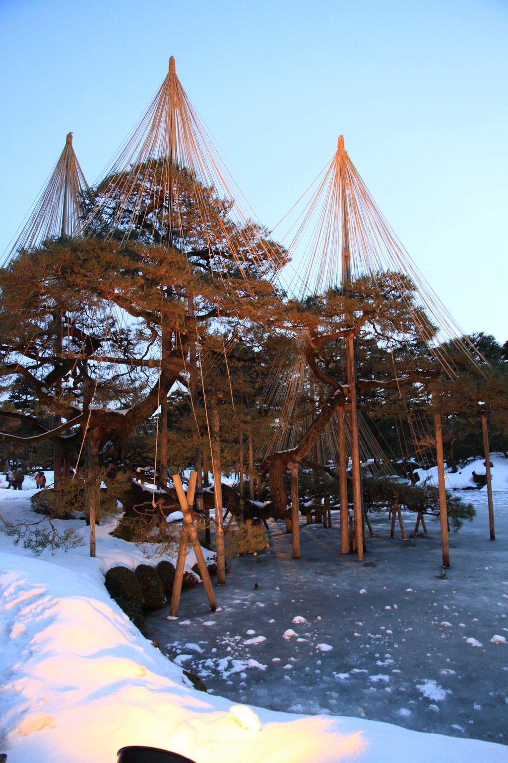 雪景色