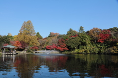 高岡市古城公園