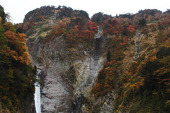 称名滝の紅葉と黄葉