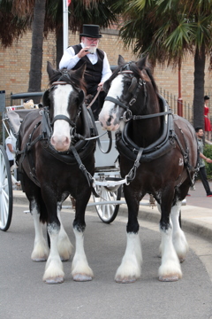 Horse-drawn carriage