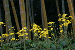 竹と花