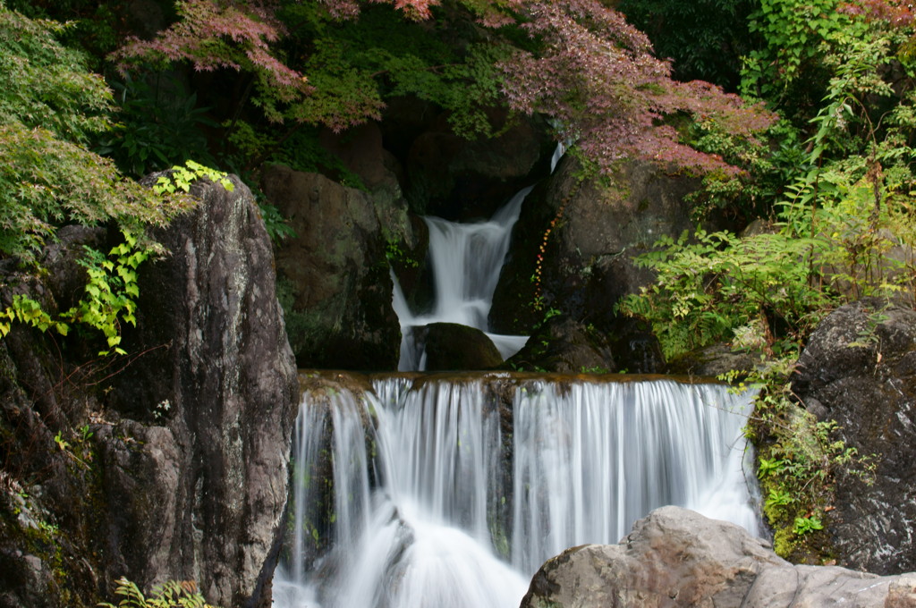 秋の滝