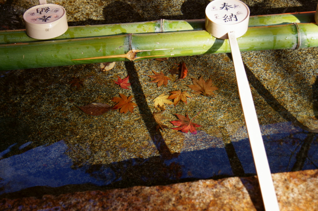 手水と紅葉