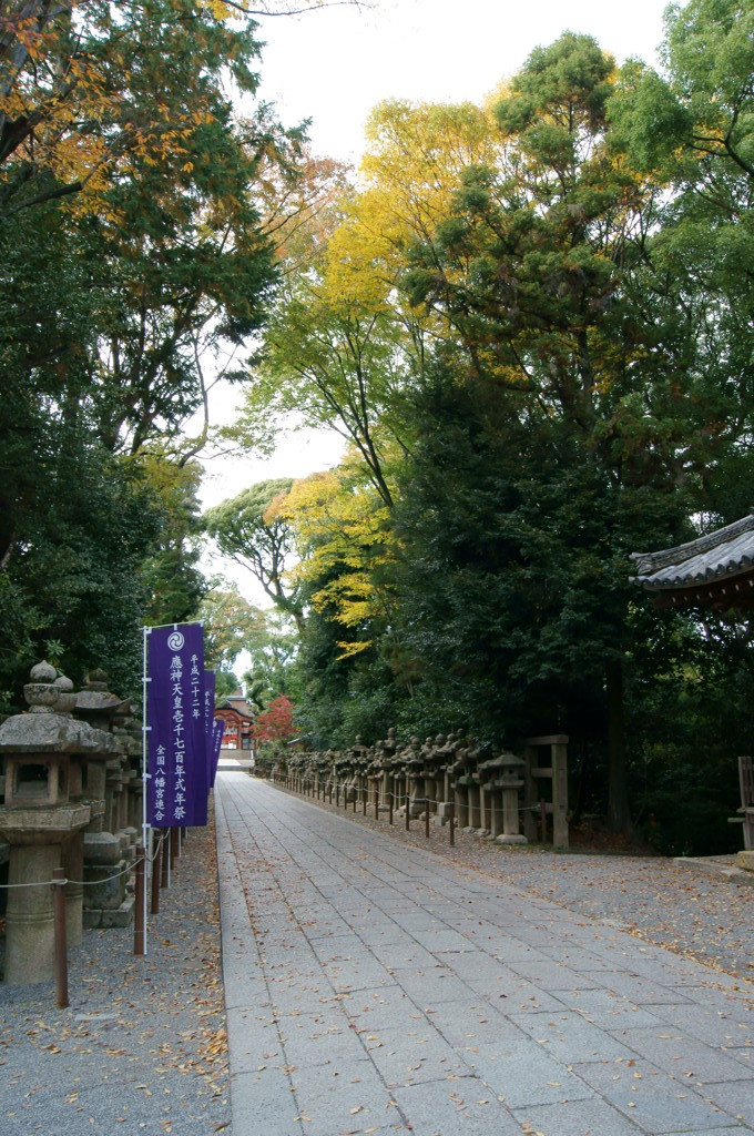 石清水八幡宮・灯籠いっぱい