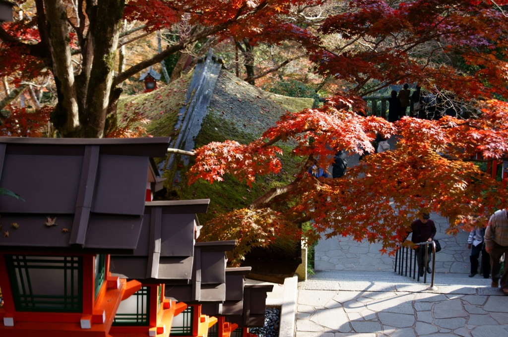鞍馬寺の紅葉