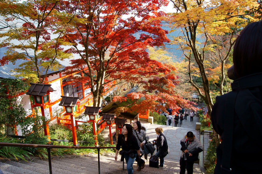 鞍馬寺の紅葉