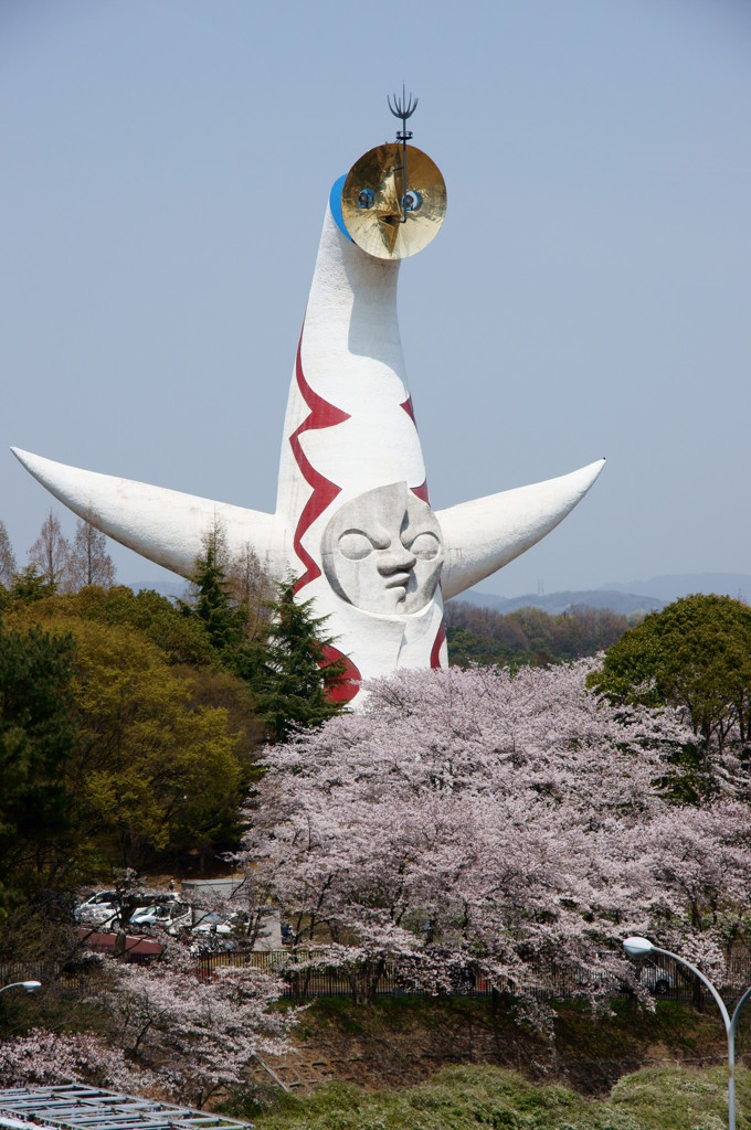 万博公園の桜・その1