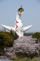 万博公園の桜・その1