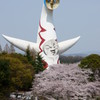 万博公園の桜・その1