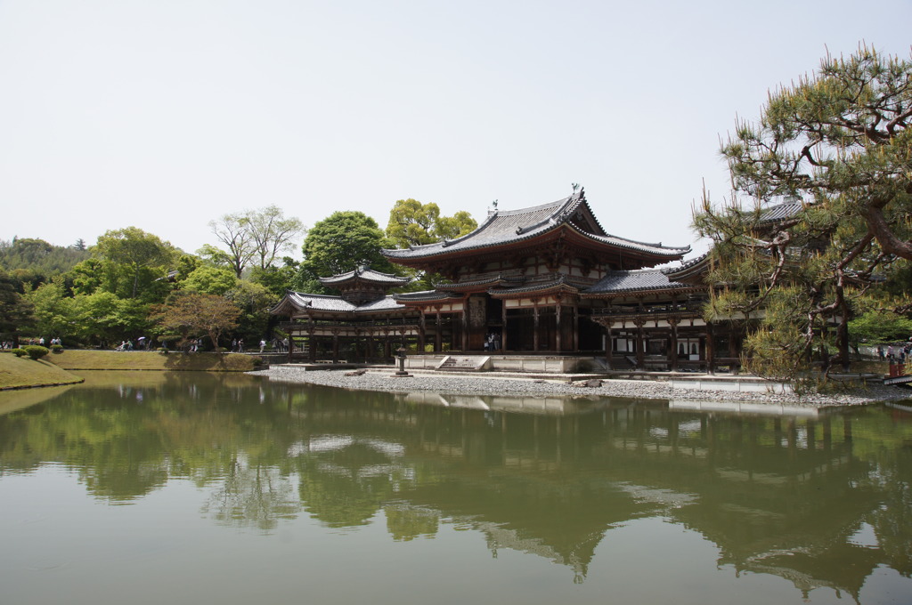 宇治の平等院鳳凰堂