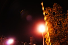 夜の公園