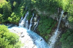 白髭の滝
