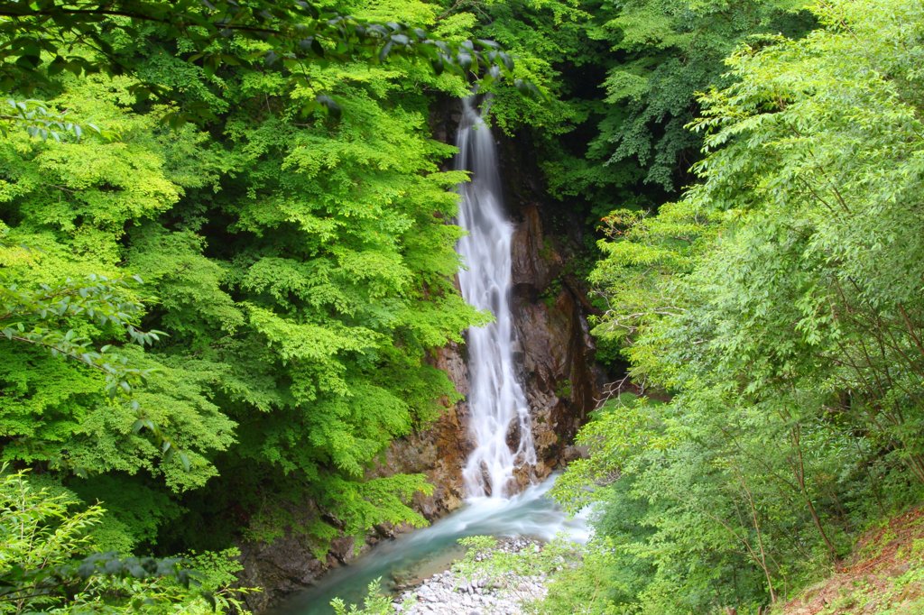緑に囲まれた滝