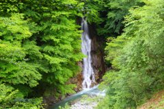 緑に囲まれた滝