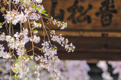 お寺の入り口