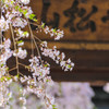 お寺の入り口