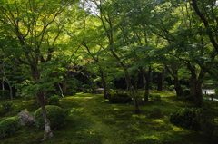 円光寺庭園