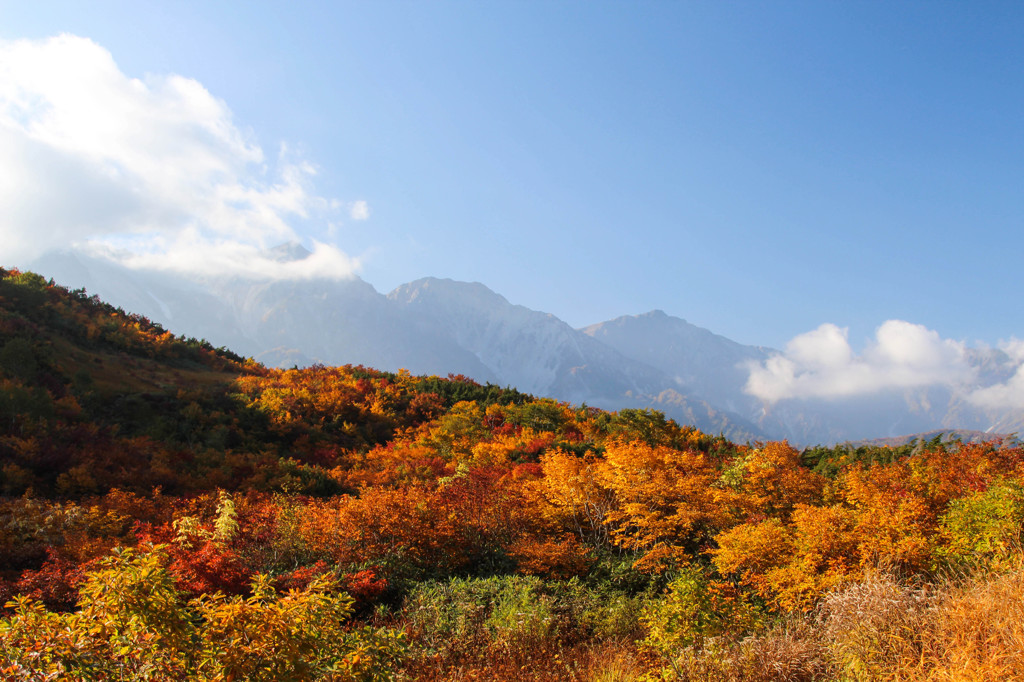 八方尾根の紅葉