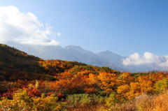 八方尾根の紅葉