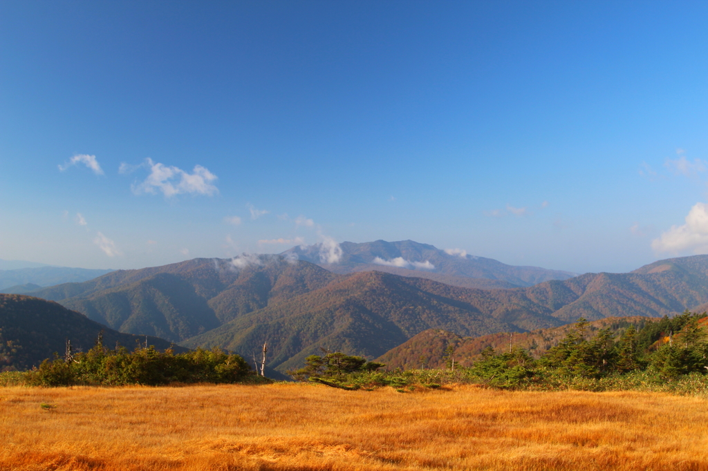 山の草紅葉