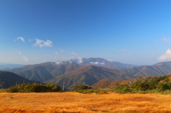 山の草紅葉