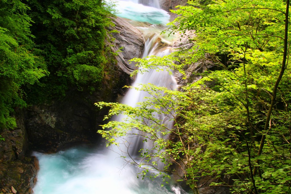 緑と滝