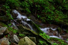 静けさの滝