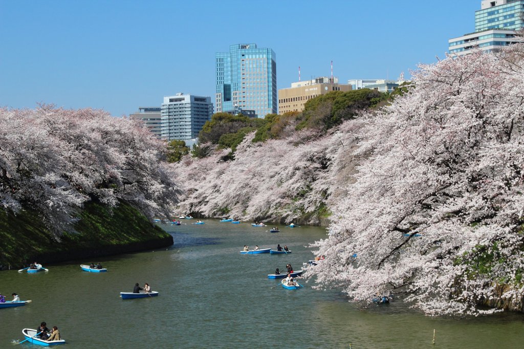 千鳥ヶ淵