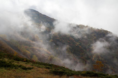 山の靄
