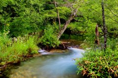 上高地明神池近くの川