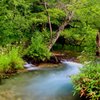 上高地明神池近くの川