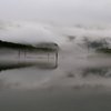 上高地大正池の朝靄