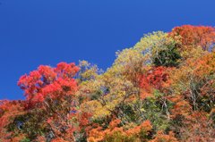 08Img_9910