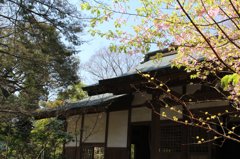 2012年4月鎌倉、円覚寺