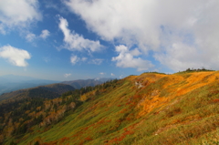 尾瀬の秋山