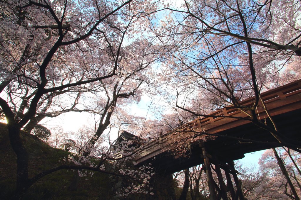 高遠城