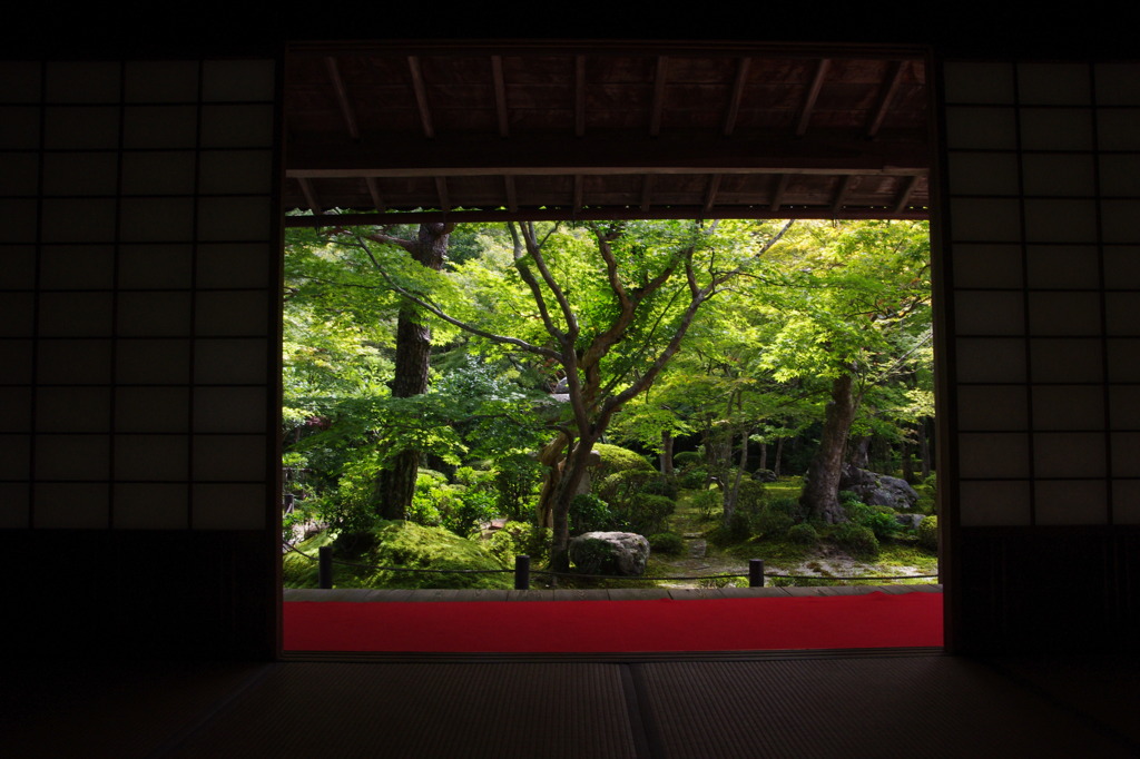 円光寺