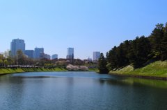 皇居お堀