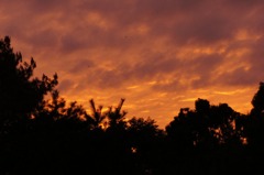 夕焼け