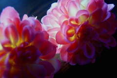 造花