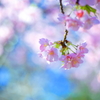 ２０日前には　・・・