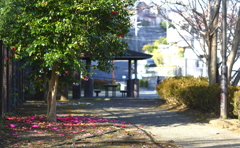 つばき坂