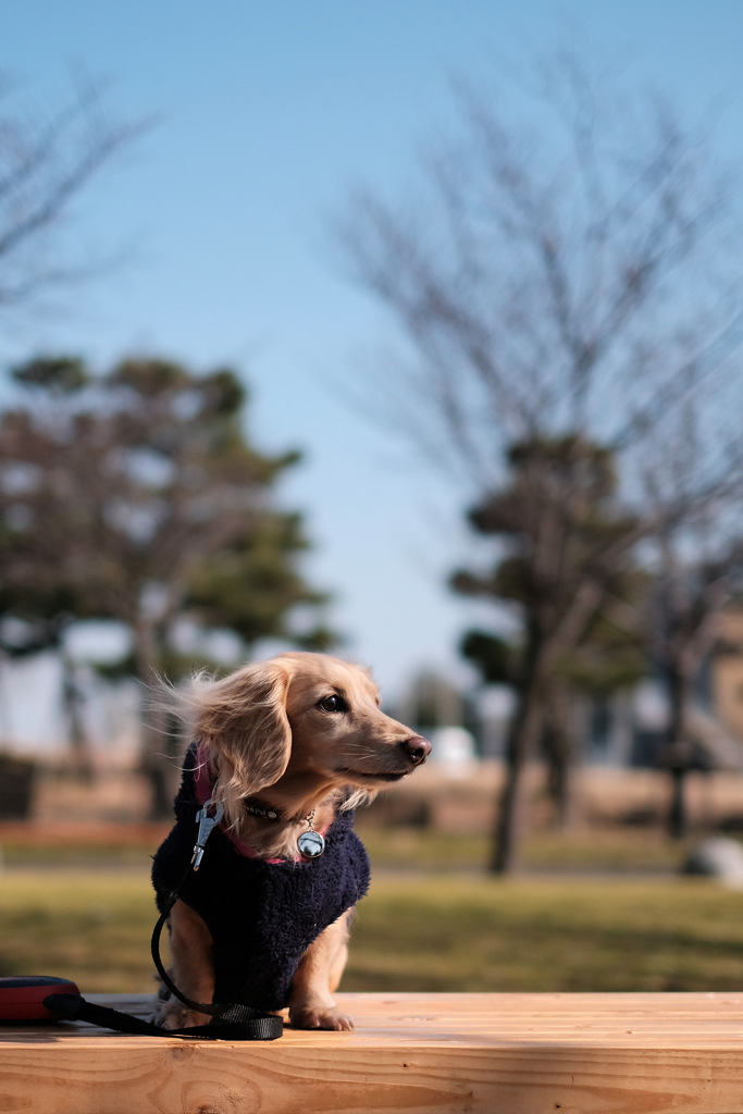 横顔。