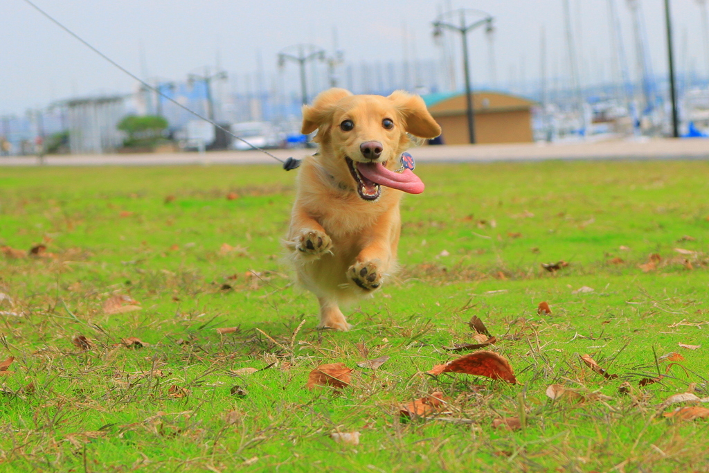 どいてどいてぇ～！