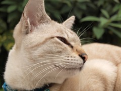 秋の匂いかな？