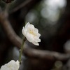 先に向かって。