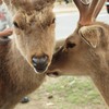 ねえ、あっち行こうよ