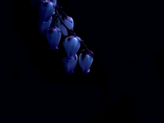 ささやかに・