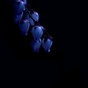 ささやかに・